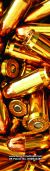 Bullet
